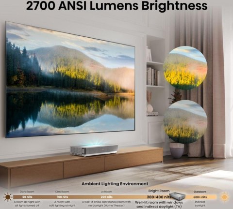 Telewizor Laser TV 120 cali 120L5ND Hisense